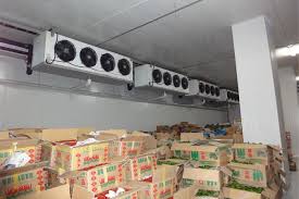 Xem Ảnh Lớn