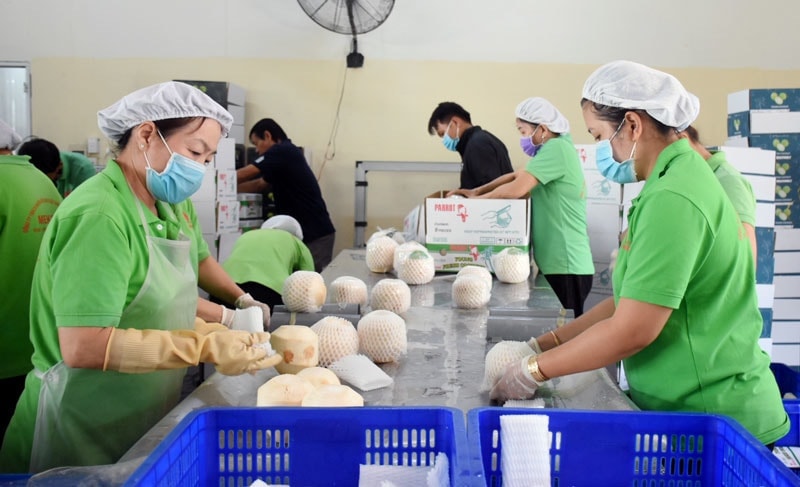 Chứng Nhận &amp; Chứng Chỉ